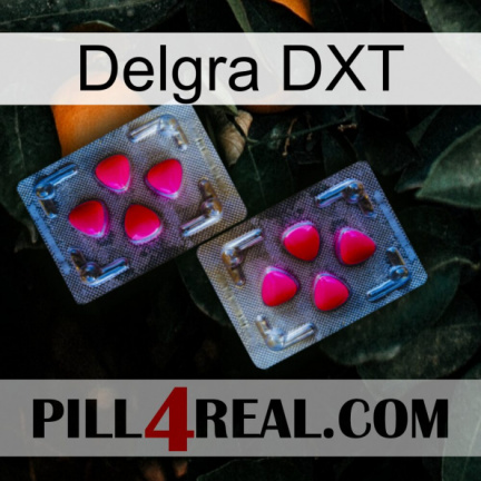 Delgra DXT 15